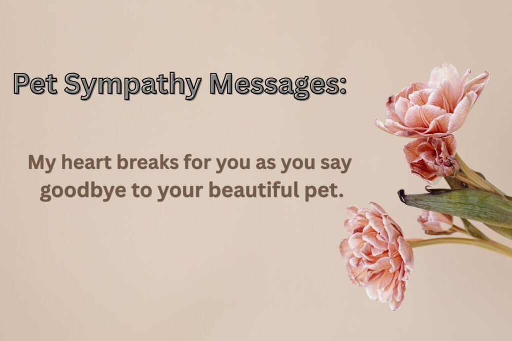 Pet Sympathy Messages